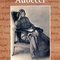 Adoecer, de Hélia Correia